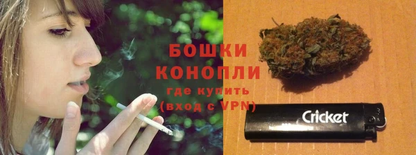 стафф Богданович