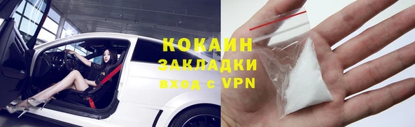 стафф Богданович