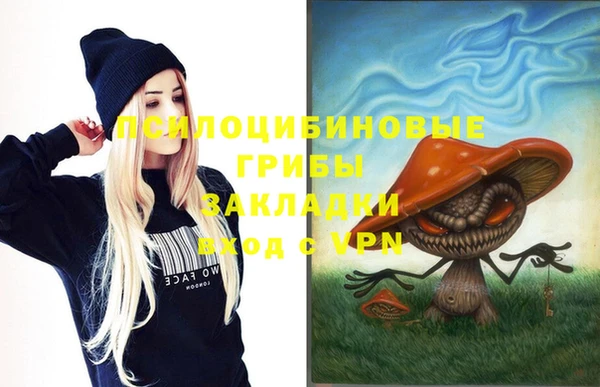 стафф Богданович