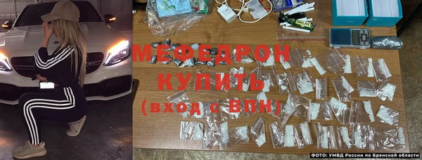 стафф Богданович