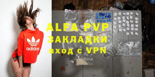 стафф Богданович