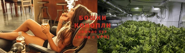 стафф Богданович